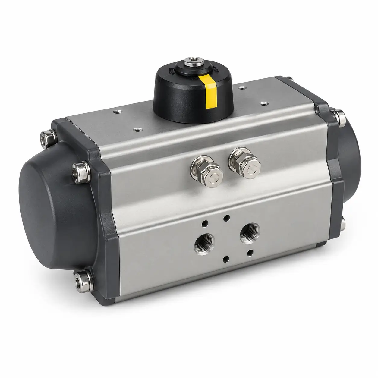 Pneumatic Rotary Actuators