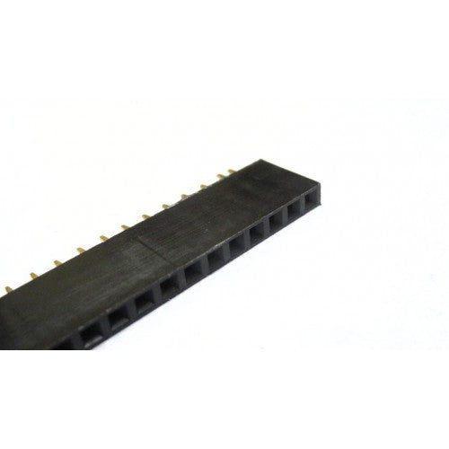 Buy 40x1 Female Berg Strip 2.54mm Pitch Header for PCB & Breadboard - Iotcart