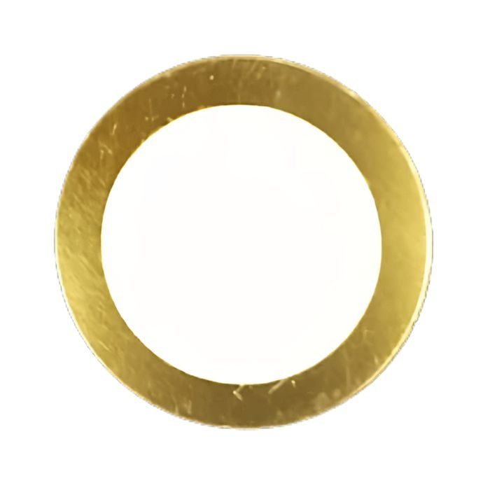 12 Volt Piezo Buzzer Plate (25mm)