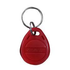 125KHz RFID Keychain (read)