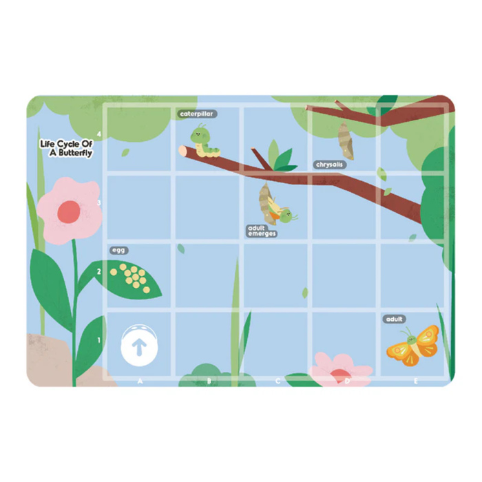MatataStudio Tale-Bot Pro Exploration Maps - Science - STEM Learning Kit