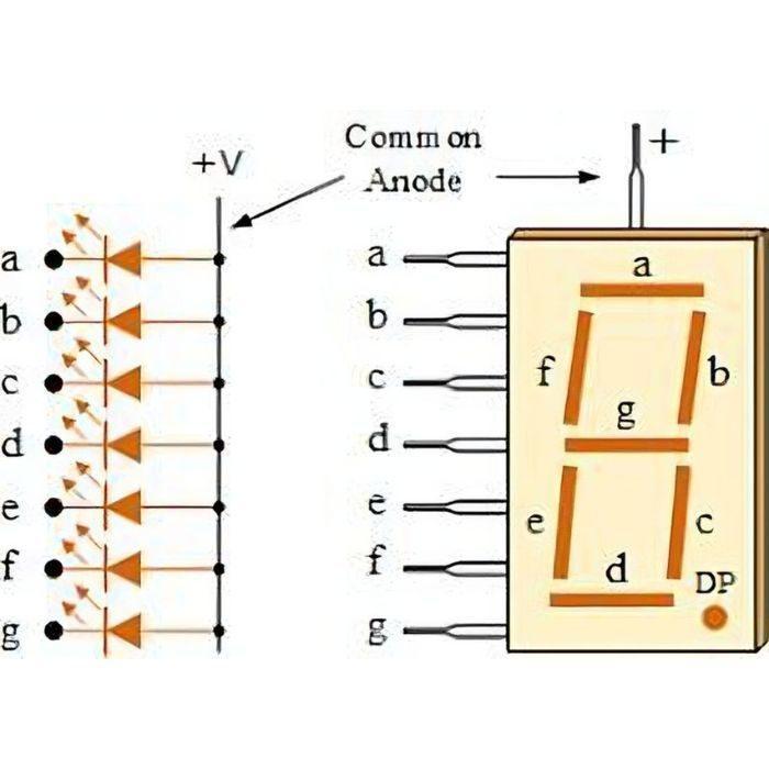 Iotcart SES-P-399 7 Segment LED Display (Common Anode) - Electronics for Arduino Projects